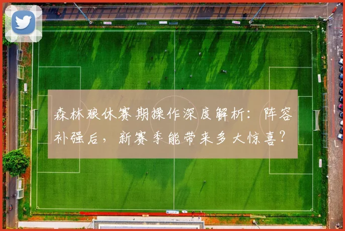 森林狼休赛期操作深度解析:阵容补强后,新赛季能带来多大惊喜?